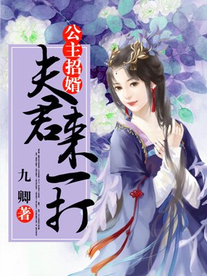 公主招婿，夫君來一打