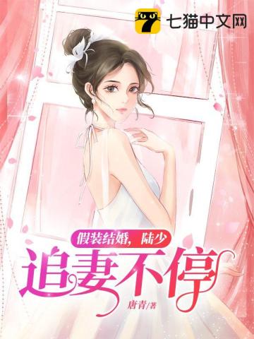 假裝結婚，陸少追妻不停